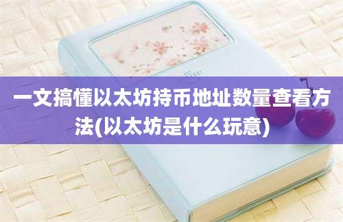 一文搞懂以太坊持币地址数量查看方法(以太坊是什么玩意)