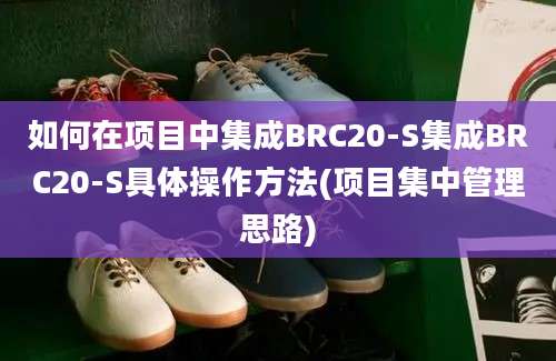 如何在项目中集成BRC20-S集成BRC20-S具体操作方法(项目集中管理思路)