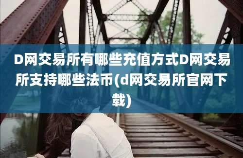 D网交易所有哪些充值方式D网交易所支持哪些法币(d网交易所官网下载)