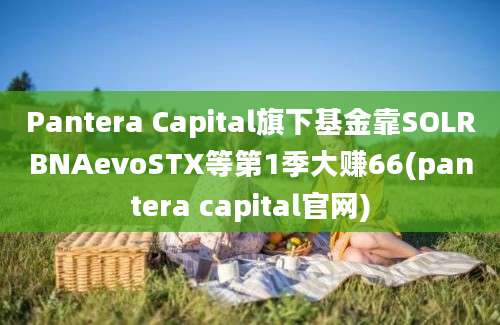 Pantera Capital旗下基金靠SOLRBNAevoSTX等第1季大赚66(pantera capital官网)