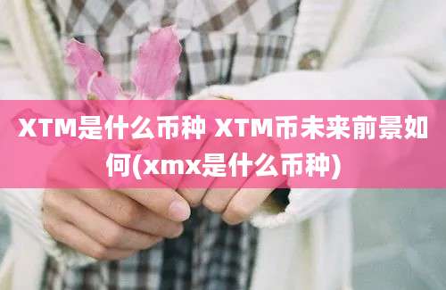 XTM是什么币种 XTM币未来前景如何(xmx是什么币种)