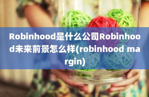 Robinhood是什么公司Robinhood未来前景怎么样(robinhood margin)