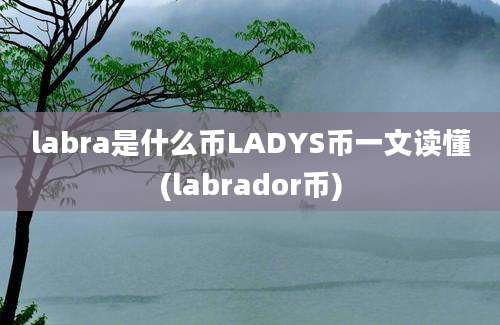 labra是什么币LADYS币一文读懂(labrador币)