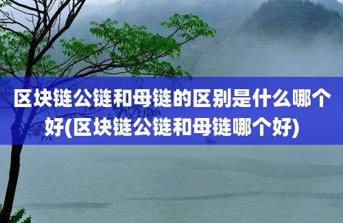 区块链公链和母链的区别是什么哪个好(区块链公链和母链哪个好)