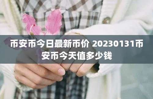 币安币今日最新币价 20230131币安币今天值多少钱