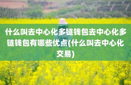 什么叫去中心化多链钱包去中心化多链钱包有哪些优点(什么叫去中心化交易)