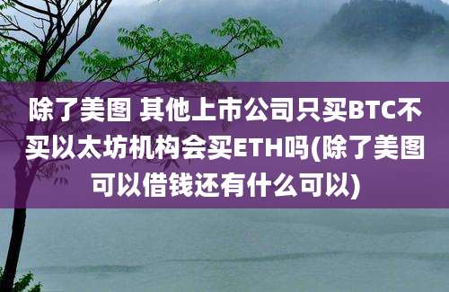 除了美图 其他上市公司只买BTC不买以太坊机构会买ETH吗(除了美图可以借钱还有什么可以)