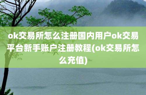 ok交易所怎么注册国内用户ok交易平台新手账户注册教程(ok交易所怎么充值)