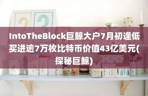 IntoTheBlock巨鲸大户7月初逢低买进逾7万枚比特币价值43亿美元(探秘巨鲸)