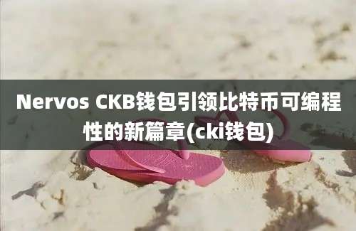 Nervos CKB钱包引领比特币可编程性的新篇章(cki钱包)