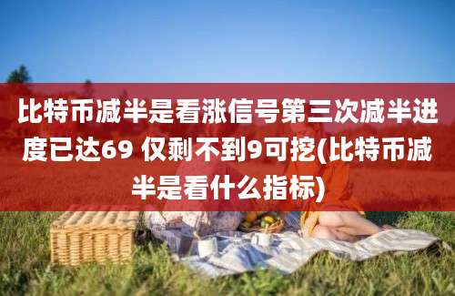 比特币减半是看涨信号第三次减半进度已达69 仅剩不到9可挖(比特币减半是看什么指标)