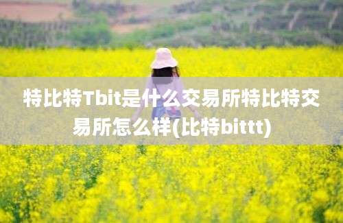 特比特Tbit是什么交易所特比特交易所怎么样(比特bittt)