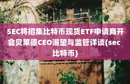 SEC将招集比特币现货ETF申请商开会贝莱德CEO渴望与监管详谈(sec 比特币)