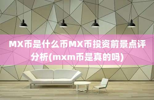 MX币是什么币MX币投资前景点评分析(mxm币是真的吗)