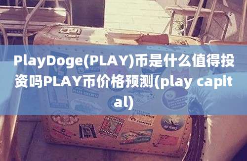 PlayDoge(PLAY)币是什么值得投资吗PLAY币价格预测(play capital)