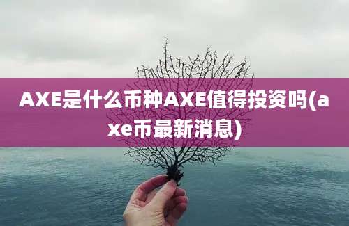 AXE是什么币种AXE值得投资吗(axe币最新消息)