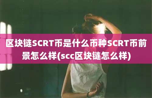 区块链SCRT币是什么币种SCRT币前景怎么样(scc区块链怎么样)