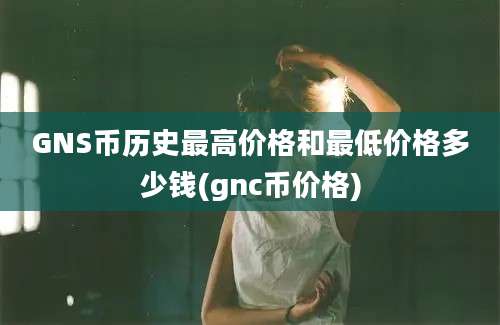 GNS币历史最高价格和最低价格多少钱(gnc币价格)