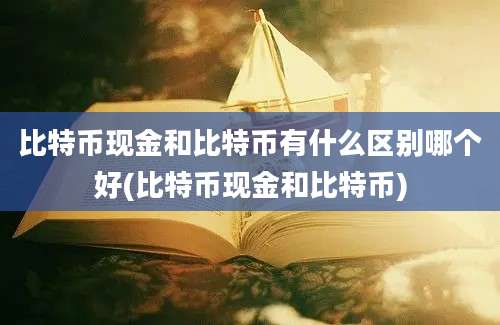 比特币现金和比特币有什么区别哪个好(比特币现金和比特币)