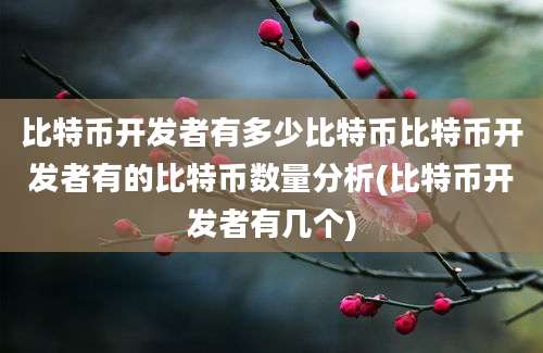 比特币开发者有多少比特币比特币开发者有的比特币数量分析(比特币开发者有几个)