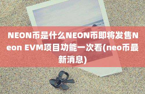 NEON币是什么NEON币即将发售Neon EVM项目功能一次看(neo币最新消息)