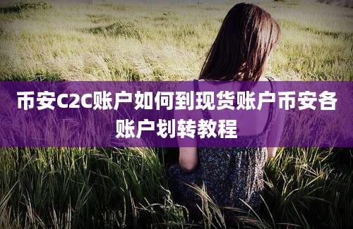 币安C2C账户如何到现货账户币安各账户划转教程