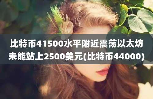 比特币41500水平附近震荡以太坊未能站上2500美元(比特币44000)