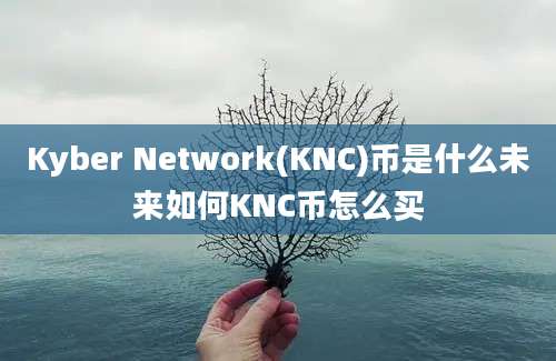 Kyber Network(KNC)币是什么未来如何KNC币怎么买