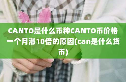 CANTO是什么币种CANTO币价格一个月涨10倍的原因(can是什么货币)