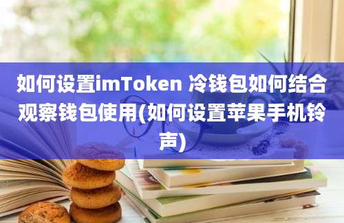 如何设置imToken 冷钱包如何结合观察钱包使用(如何设置苹果手机铃声)