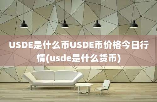 USDE是什么币USDE币价格今日行情(usde是什么货币)