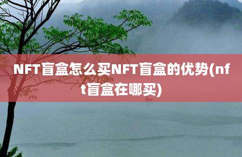 NFT盲盒怎么买NFT盲盒的优势(nft盲盒在哪买)