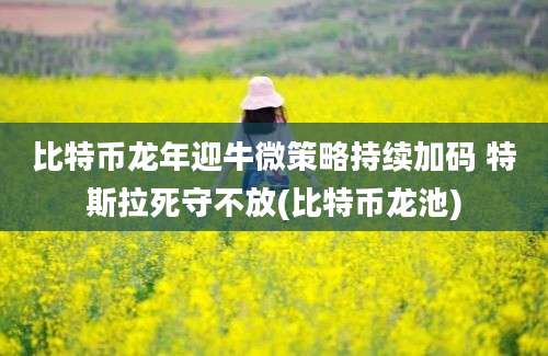 比特币龙年迎牛微策略持续加码 特斯拉死守不放(比特币龙池)