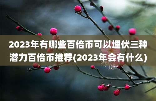 2023年有哪些百倍币可以埋伏三种潜力百倍币推荐(2023年会有什么)