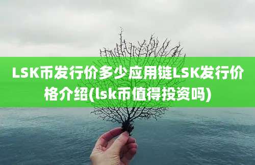 LSK币发行价多少应用链LSK发行价格介绍(lsk币值得投资吗)