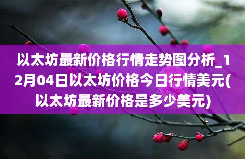 以太坊最新价格行情走势图分析_12月04日以太坊价格今日行情美元(以太坊最新价格是多少美元)