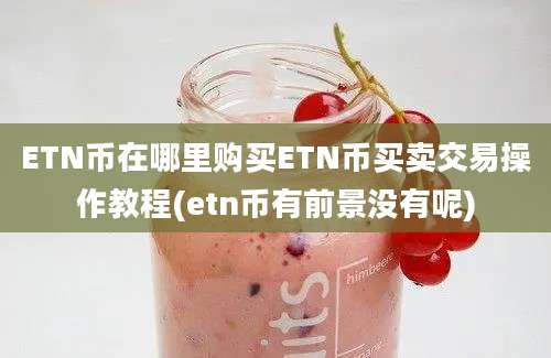 ETN币在哪里购买ETN币买卖交易操作教程(etn币有前景没有呢)