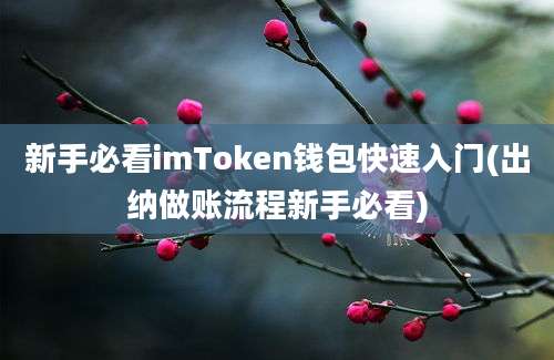 新手必看imToken钱包快速入门(出纳做账流程新手必看)