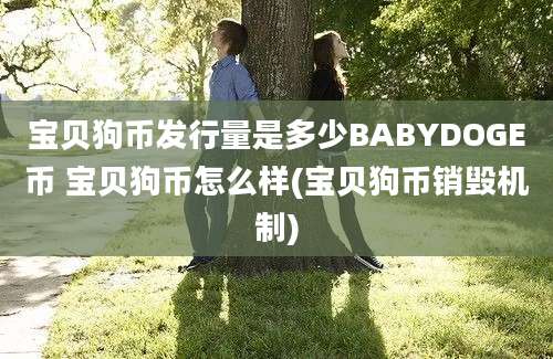 宝贝狗币发行量是多少BABYDOGE币 宝贝狗币怎么样(宝贝狗币销毁机制)