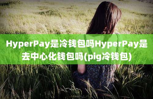 HyperPay是冷钱包吗HyperPay是去中心化钱包吗(pig冷钱包)