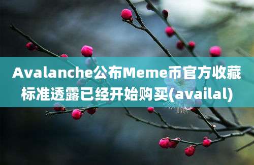 Avalanche公布Meme币官方收藏标准透露已经开始购买(availal)