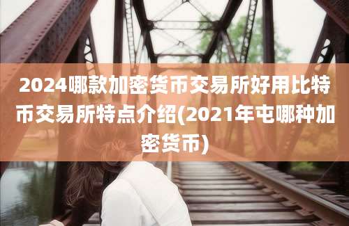 2024哪款加密货币交易所好用比特币交易所特点介绍(2021年屯哪种加密货币)