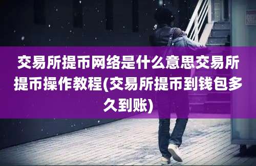 交易所提币网络是什么意思交易所提币操作教程(交易所提币到钱包多久到账)