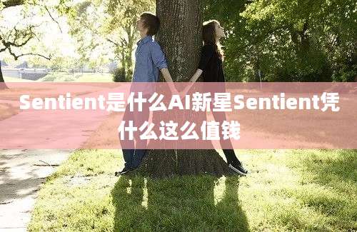 Sentient是什么AI新星Sentient凭什么这么值钱