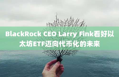 BlackRock CEO Larry Fink看好以太坊ETF迈向代币化的未来