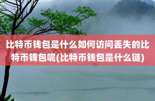 比特币钱包是什么如何访问丢失的比特币钱包呢(比特币钱包是什么链)