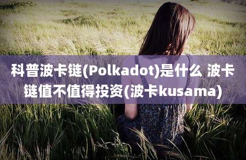 科普波卡链(Polkadot)是什么 波卡链值不值得投资(波卡kusama)