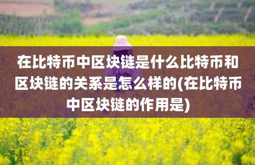 在比特币中区块链是什么比特币和区块链的关系是怎么样的(在比特币中区块链的作用是)