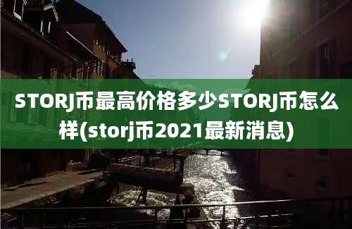 STORJ币最高价格多少STORJ币怎么样(storj币2021最新消息)