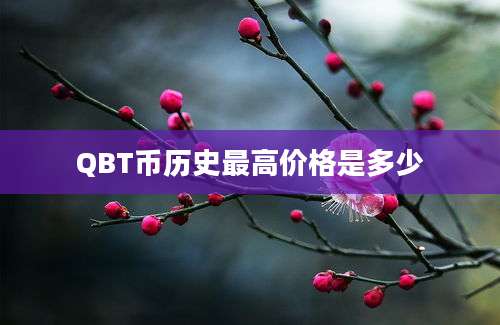 QBT币历史最高价格是多少